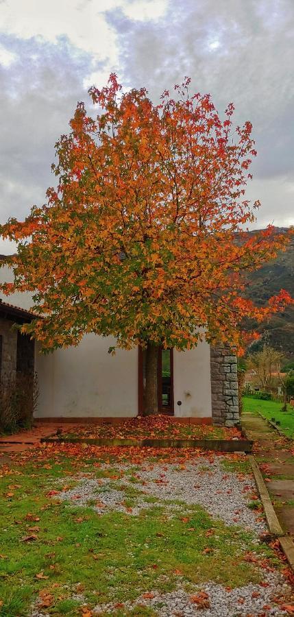 La Calma De Llanes Villa Exterior photo
